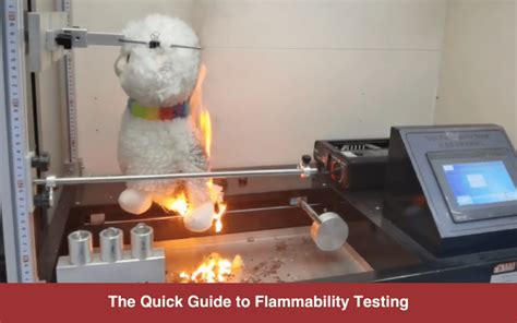 Flammability Testing of Materials .